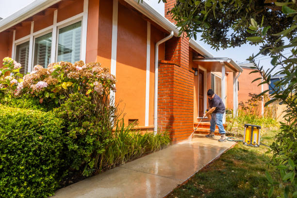 Best Roof Pressure Washing  in Yutan, NE